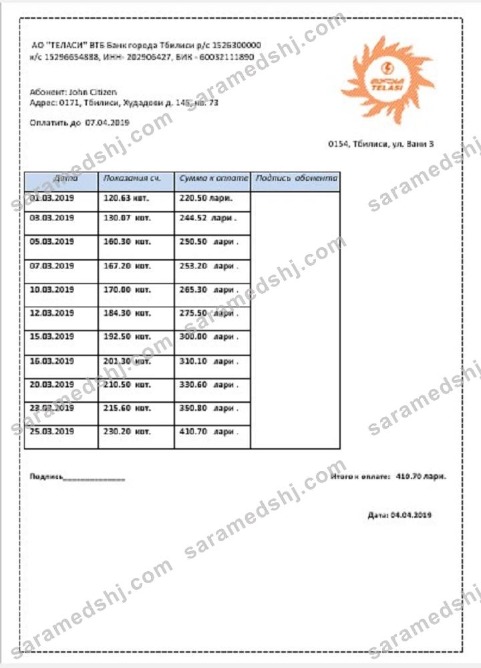Georgia Telasi utility bill